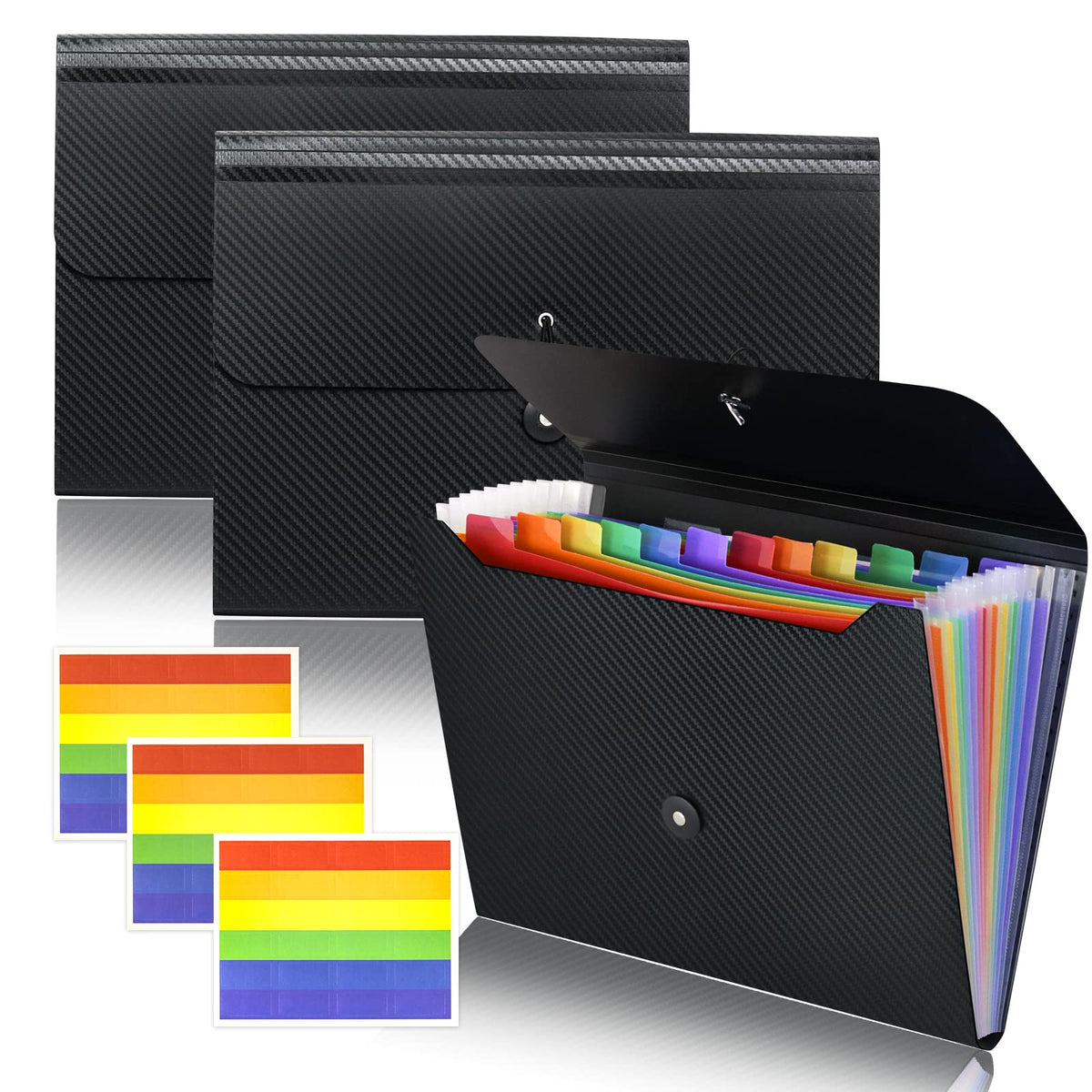Cesil 13 Pockets Accordian File Organizer with Tabs Expanding File Folder