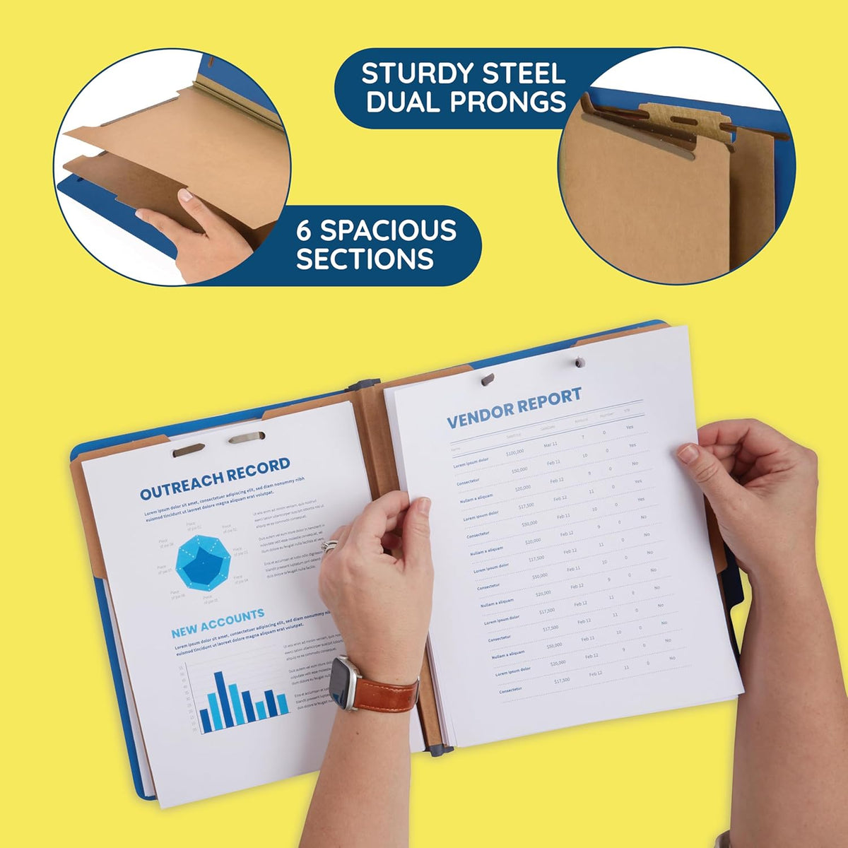 Blue Summit Supplies 10 Classification Folders, 2 Divider, Dark Blue