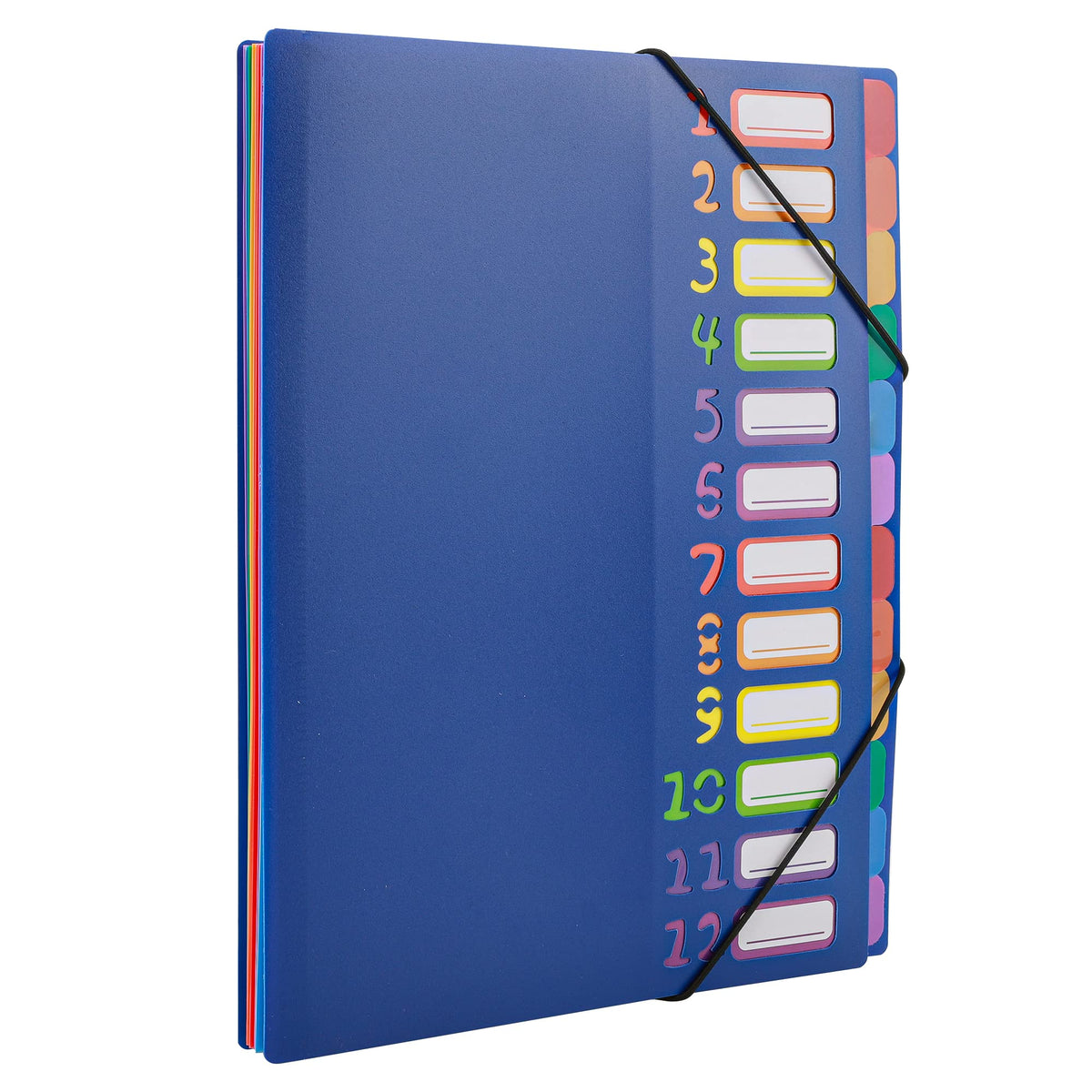 Edufun Rainbow Tab Expanding File Folder - 24 Pockets, Durable A4 Letter Size Organizer, Water-Resistant Plastic Dividers, Home/Office/School Document Holder (Black)