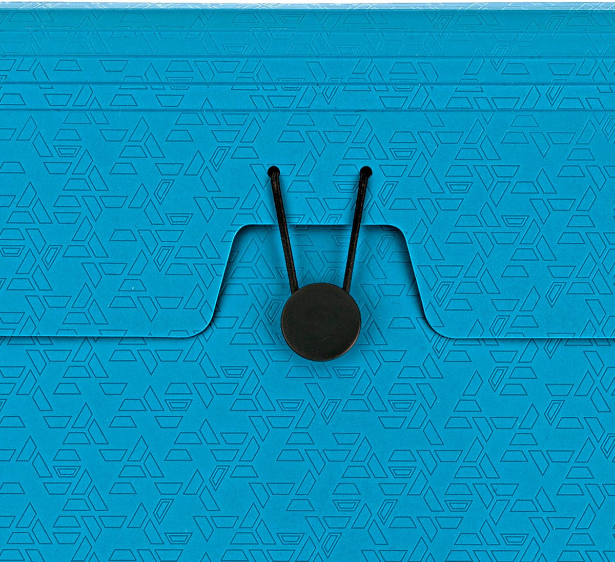Five Star Expanding File Organizer, 6-Pocket Accordian File Organizer, Bungee Closure, Holds 8-1/2" x 11" Paper, Tidewater Blue (350100C-ECM)